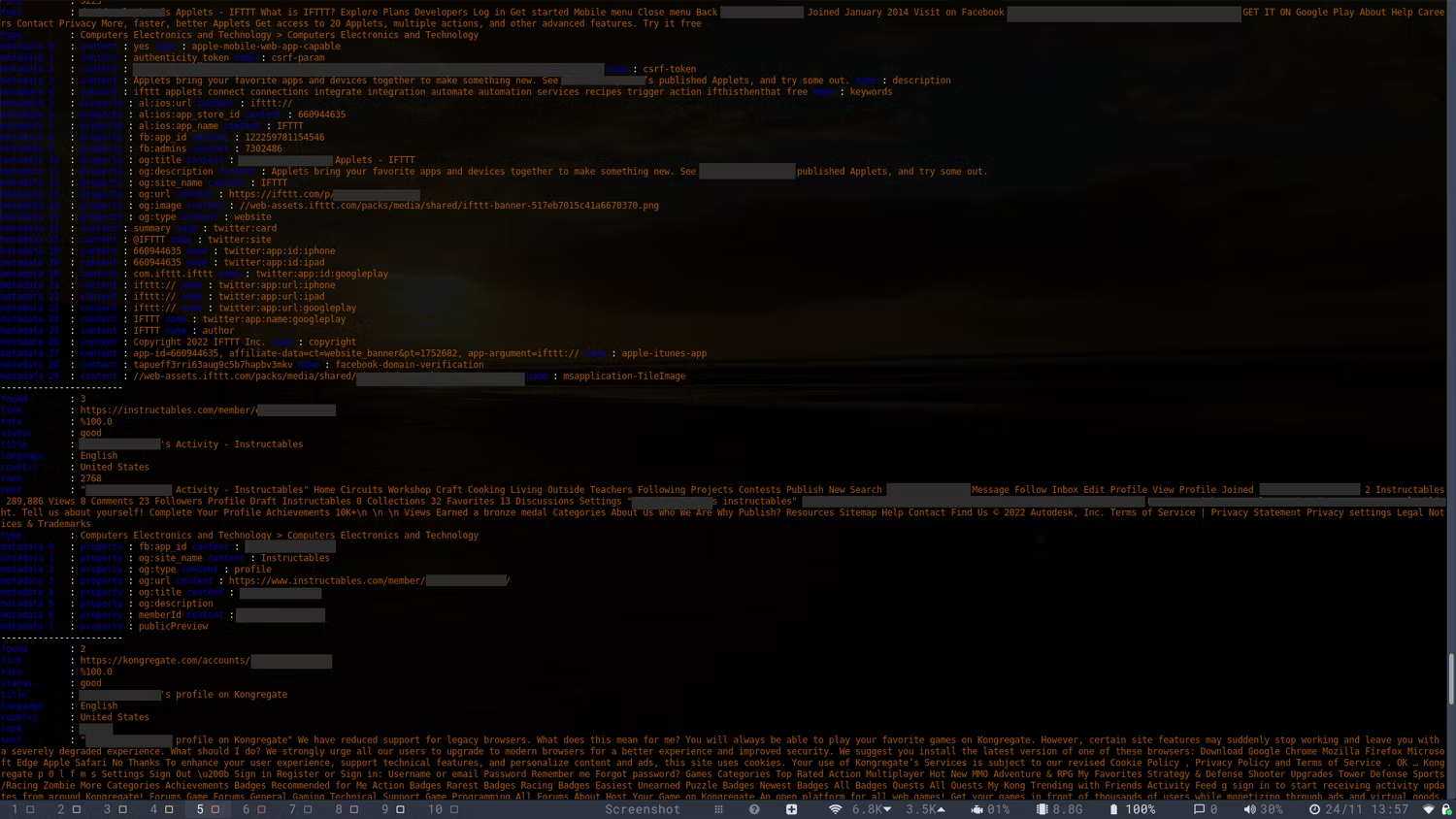 social-analyzer-terminal-output-redacted